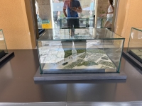 Vitrinas y urnas