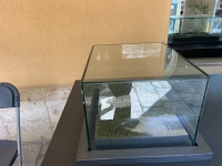 Vitrinas y urnas