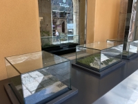 Vitrinas y urnas